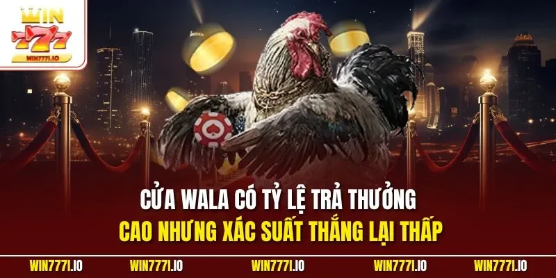 Cửa Wala có tỷ lệ trả thưởng cao nhưng xác suất thắng lại thấp