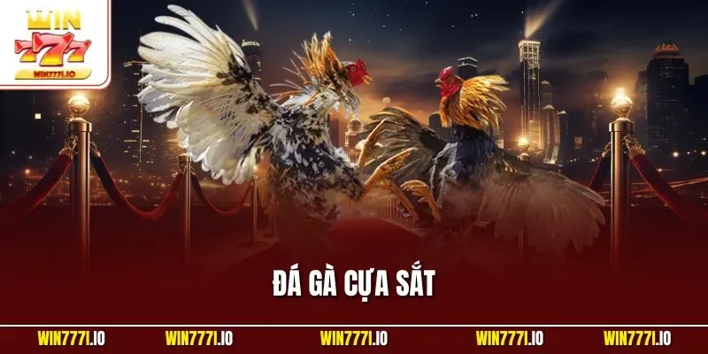 Đá Gà Cựa Sắt Là Gì? Luật Chơi Và Kinh Nghiệm Cần Nắm Rõ