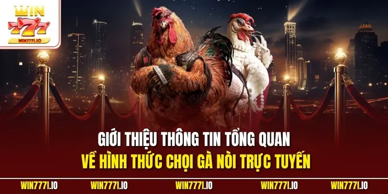 Giới thiệu thông tin tổng quan về hình thức chọi gà nòi trực tuyến