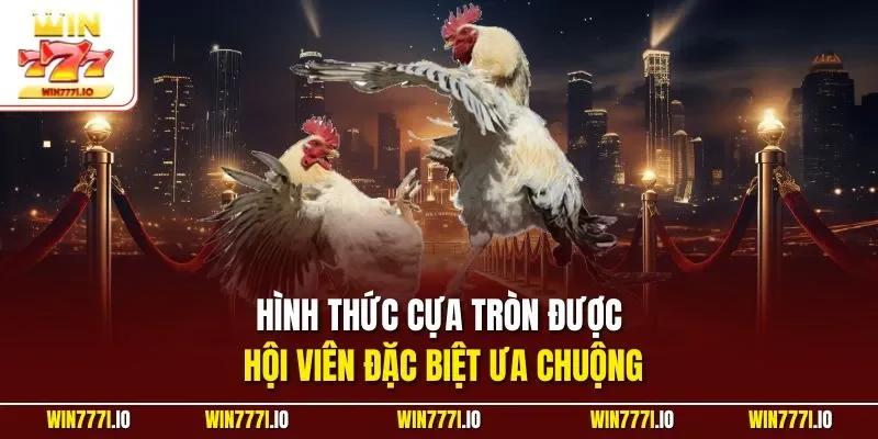 Hình thức cựa tròn được hội viên đặc biệt ưa chuộng