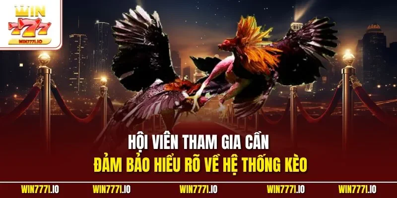 Hội viên tham gia cần đảm bảo hiểu rõ về hệ thống kèo