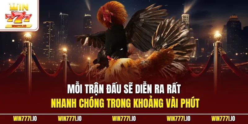 Mỗi trận đấu sẽ diễn ra rất nhanh chóng trong khoảng vài phút