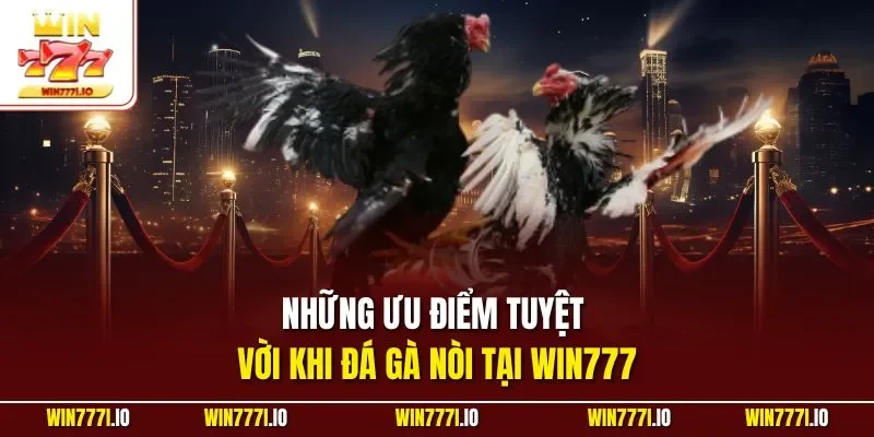 Những ưu điểm tuyệt vời khi đá gà nòi tại WIN777