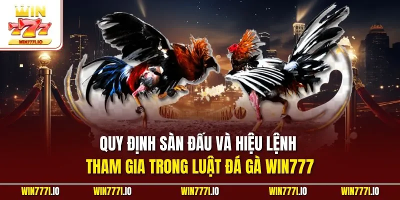 Quy định sàn đấu và hiệu lệnh tham gia trong luật đá gà WIN777
