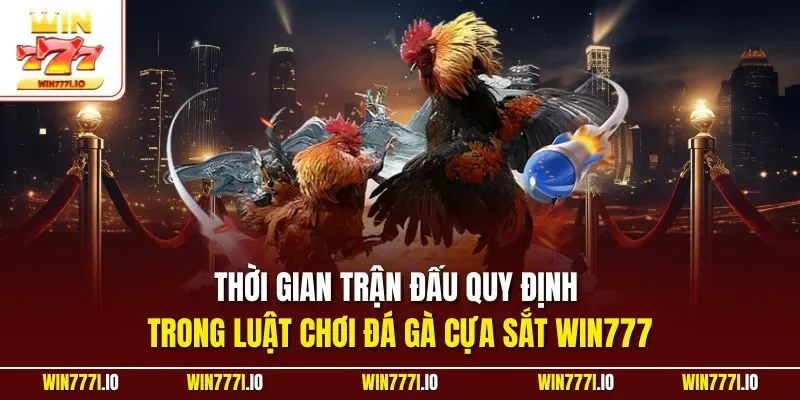 Thời gian trận đấu quy định trong luật chơi đá gà cựa sắt WIN777